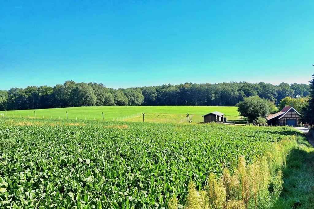 Das Bergherz Ruhe + Natur Pur Reken Exterior photo